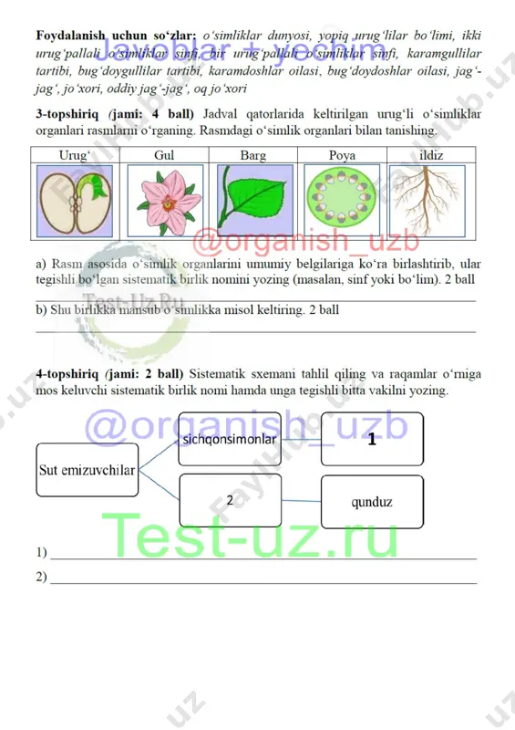 7 sinf biologiya bsb-1 original - Page 2