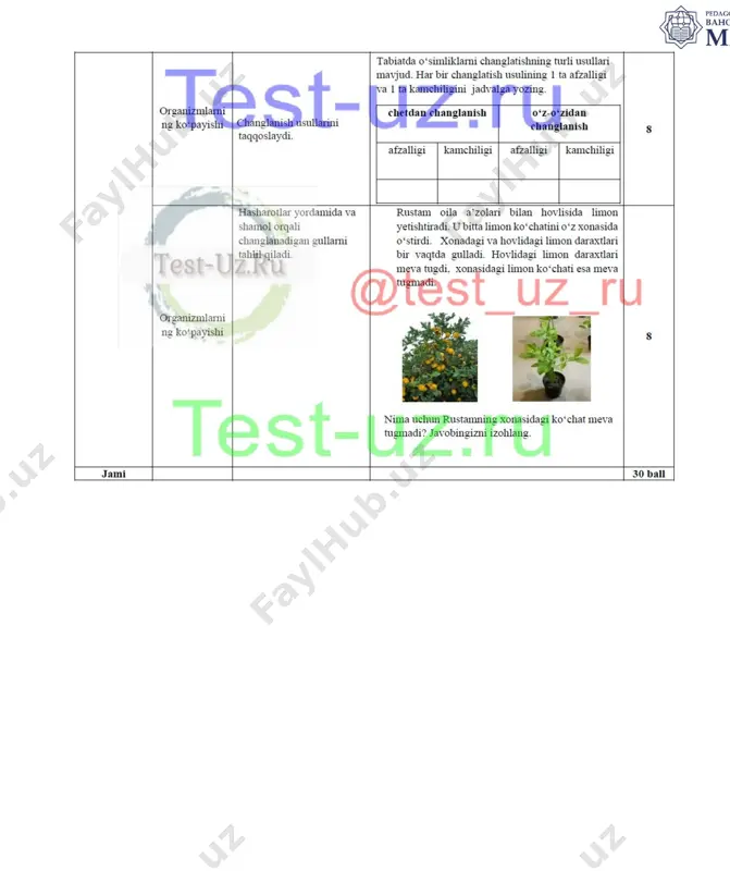 7 sinf bsb-7 demo - Page 2