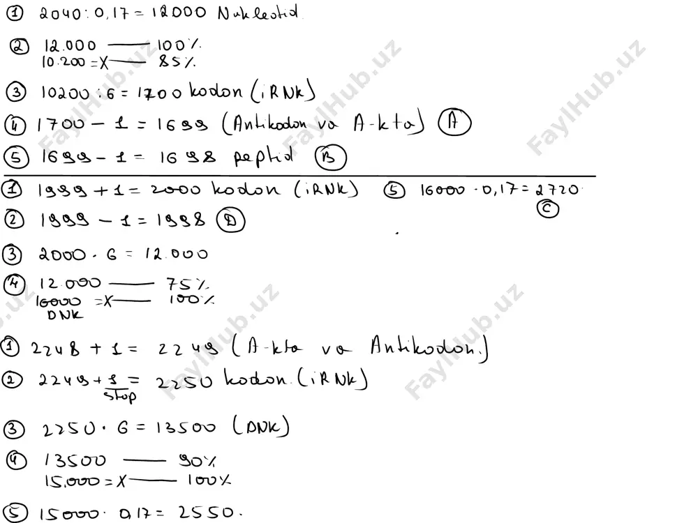 05.08.2025 sefr 2-varinat - Page 2
