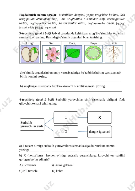 ) 2-raqam o‘rniga sudralib yuruvchilar sistematikasiga doir turkum nomini yozing:____________________________________________________________ b) x (noma’lum) hayvon o‘rniga sudralib yuruvchlarga kiruvchi tur vakilini qo‘ygan bo‘lar edingiz? a) echkemar b) stsink gekkoni c) nil timsohi d) kobra 5-topshiriq ((jami 3 ball) rasmda berilgan hayvonlarga sistematikada o‘z o‘rnini topishda yordam bering. har bir hayvonni o‘zi mansub guruhlarga joylashtiring. uy mushugi bilan rasmda berilgan hayvonlarning o‘zaro qarindoshligining yaqin yoki uzoqligi haqida guruhda muhokama qiling. jadval kataklaridagi har bir raqamlar sistematik birlikdagi darajasi bir xil hayvonlar nomini yozing. xordalilar tipi umurtqalilar kenja tipi 1 1 1 1 1 sut emizuvchilar sinfi 2 2 2 2 yirtqichlar turkumi 3 3 3 bo‘risimonlar oilasi 4 4 tulkilar urug‘i 5 5 shimol tulkisi bajarish: jadvaldagi katakchalarga berilgan havvonlardan mosini tanalang. a) 1- raqam o‘rniga berilgan hayvonlardan mos keluvchi hayvonlar nomini yozing. __________________________________________________________________ b) 2- raqam o‘rniga berilgan hayvonlardan mos keluvchi hayvonlar nomini yozing. __________________________________________________________________ d) 3- raqam o‘rniga berilgan hayvonlardan …
