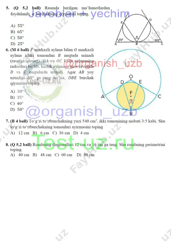 8 sinf geom chsb-4 demo - Page 2