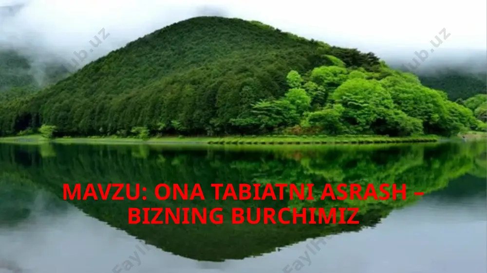 aydi, dengiz hamda okeanlarning hayvonot va o‘simlik dunyosini nobud qiladi. 3-muammo. ichimlik suvining yetishmasligi. hozirgi kunda yer yuzida ikki milliard odamga toza ichimlik suvi yetishmaydi. 2030-yilga kelib 700 million kishi toza suv yetishmasligi tufayli o‘z yurtlarini tashlab, o’zga yurtlarga ketishlari mumkin. suvning yetishmasligi, asosan, ushbu tabiiy resurslardan oqilona foydalanmaslik sababli yuzaga keladi. 4-muammo. havoning ifloslanishi: havoning ifloslanishi zavodlar, fabrikalar, issiqlik elektr stansiyalari va yonilg’i sarlaydigan transport vositalarining ishlashi vaqtida atmosferaga turli xil gazlar chiqarilganda sodir bo‘ladi. 5-muammo. haroratning keskin ko’tarilishi: o‘tgan 100 yil davomida kuzatishlar yerdagi o‘rtacha harorat asta-sekin o‘sib borayotganini ko‘rsatadi. buning sababi turli gazlar doimiy chiqarilishi tufayli atmosferaning ifloslanishidir. natijada, yer yuzida iqlim o‘zgaradi, muzliklar eriydi, turli xil o‘simliklar va hayvonlar yo‘qolib boradi. 6-muammo. muzliklarning erishi: muzliklarning erishi arktikada oq ayiqlar sonining kamayishi, suv toshqinlari, yaylovlarni suv bosishi, okean oqimlari va umumiy iqlim o‘zgarishiga olib keladi. 7-muammo. o’simlik va hayvon turlarining yo’qolishi: sayyorada har bir daqiqada jonzotlarning bittadan …