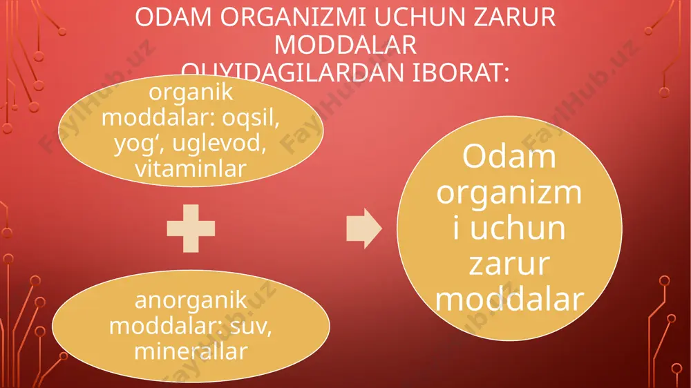 6-sinf. sciens. odamning ovqat - Page 2