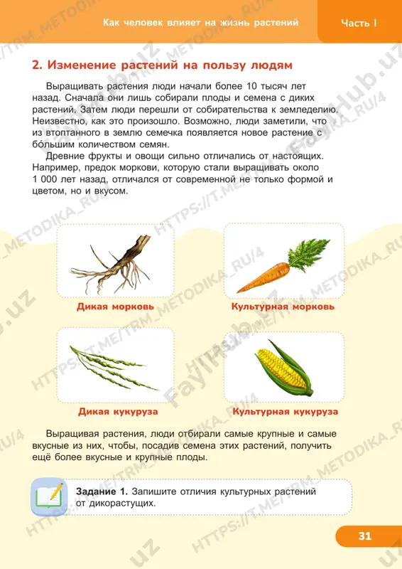 steniy 2. izmenenie rasteniy na polzu lyudyam zadanie 1. zapishite otlichiya kulturnix rasteniy ot dikorastushix. 31 .m e/ tr m_m et od ik a_ ru ht tp s: //t .m e/ tr m_m et od ik a_ ru /4 tr m_m et od ik a_ ru /4 ht tp s: //t .m e/ tr m_m et od ik a_ ru /4 ht tp s: //t .m e/ tr m_m et od ik a_ ru /4 ht tp s: //t .m e/ tr m_m et od ik a_ ru /4 ht tp s: //t .m e/ tr m_m et od ik a_ ru ht tp s: //t .m e/ tr m_m et od ik a_ ru /4 _r u/ 4 chast i 32 dlya izucheniya rasteniy sozdayutsya spetsialnie territorii —botanicheskie sadi. v nix sobrani travi, kustarniki i derevya iz raznix chastey mira. vo mnogix botanicheskix sadax xranyatsya kollektsii semyan redkix ili …
