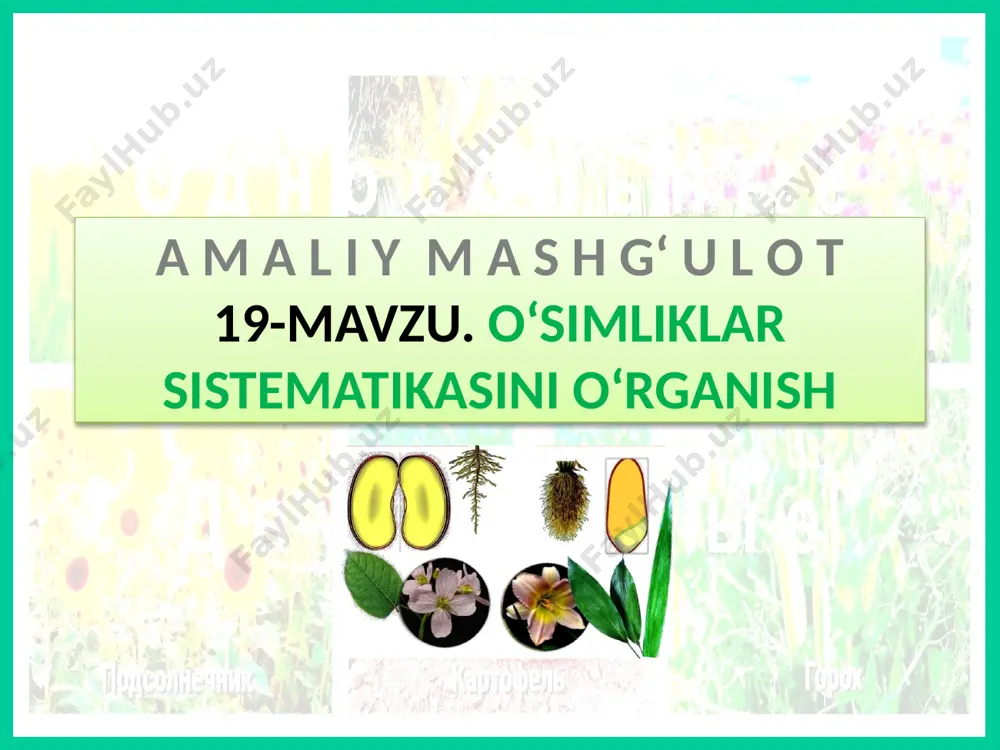 ing 6-sinfi uchun tabiiy fanlar darsligi, respublika ta’lim markazi. @edurtm_uz © internet manbalari: www.natworld.info www.ppt-online.org www.foxford.ru www.freepik.com www.drevologia.ru www.similarpng.com @edurtm_uz © qambarov alimbek rossiya o‘qituvchilari tajribasidan qisman foydalanildi. xatolari bo‘lishi mumkin, tekshirib ko‘ring. qambarov sirojiddin tomonidan to‘plandi va tartiblandi. telegram manzil: geografiya metodika @geography_method https://t.me/geography_method image1.jpeg image2.jpeg image3.png image4.jpeg image5.jpeg image6.png image7.jpeg image8.jpeg image9.jpeg image10.png image11.jpeg image12.jpeg image13.png image14.jpeg image15.jpeg