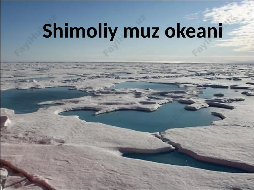 shaklida yog`adi. yillik yog`in arktika havzasida 150 mm gacha, shimoliy yevropa havzasida 250 -300 mm. qor qoplami yozda hamma joyda deyarli erib ketadi. ‹#› shimoliy muz okeanida suv yuza qatlami va muzlarning sirkulyatsiyasi hamda tinch va atlantika okeanlari bilan suv almashinish asosan, shamolning yo`nalishiga bog`lik, arktika havzasi uchun esa suvning siklonal sirkulyatsiiyasi harakterlidir. shimoliy yevropa havzasi uchun esa suvning qatlami va muzliklarning sirkulyatsiyasi arktika havzasini chukotka dengizidan kesib o`tuvchi trans arktika oqimiga, alyaskadan shimoldagi sharqiy antitsiklonal aylanma harakatga, sharqiy grenlandiya sovuq oqimga va norvegiya iliq oqimiga bog`liq. suv sathininng ko`tarilishi har yarim sutkada takrorlanadi. balandligi shimoliy yevropa havzasida 1m, arktika havzasida 0.5 m, maksimali 6 m. ‹#› tupiki ‹#› chistik ‹#› lyuriki ‹#› ‹#› meduza sianeya ‹#› ‹#› ‹#› ‹#› image2.jpeg image3.jpeg image4.jpeg image5.jpeg image6.jpeg image7.jpeg image8.jpeg image9.jpeg image10.jpeg image11.jpeg image12.jpeg image13.jpeg image14.jpeg image15.jpeg image1.jpeg