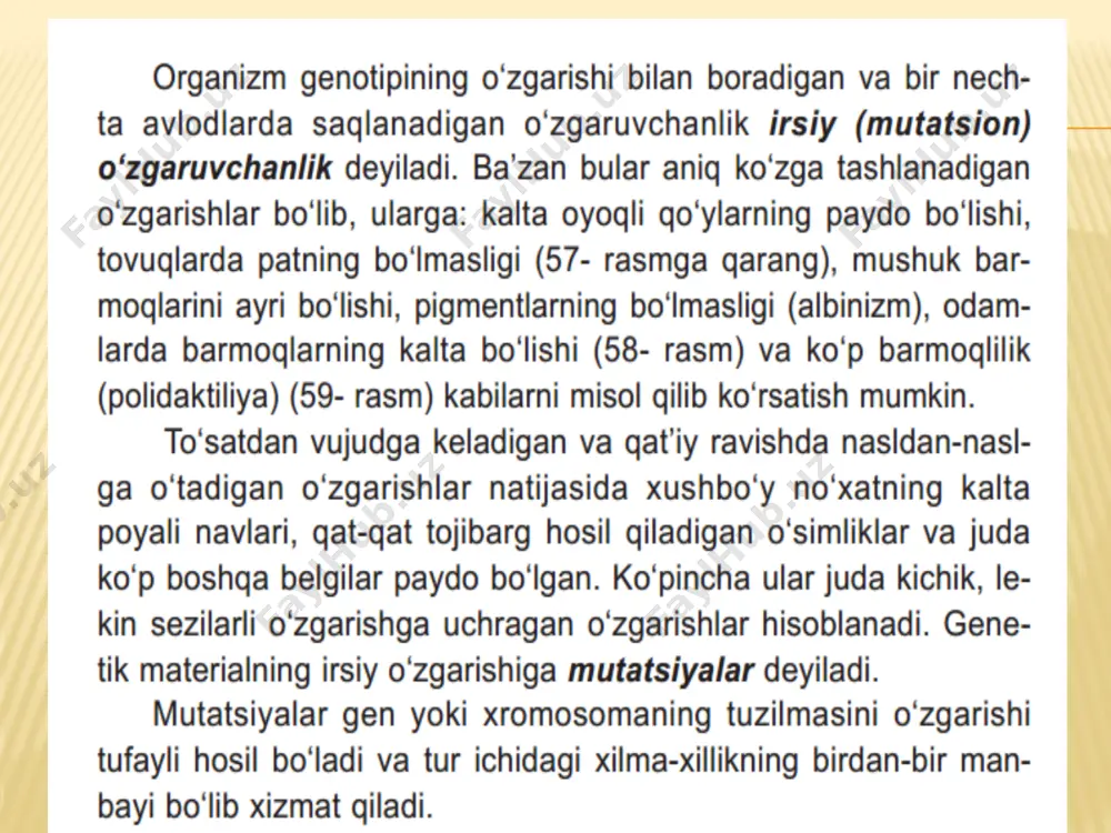 1-maktab abdugofur mutatsion o'zgaruvchanlik - Page 2