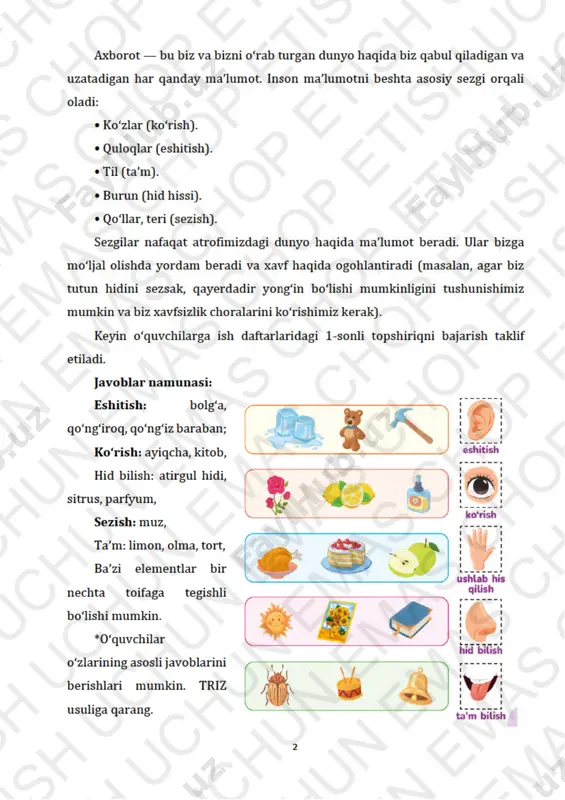 informatika 1-sinf 1-7 dars - Page 2