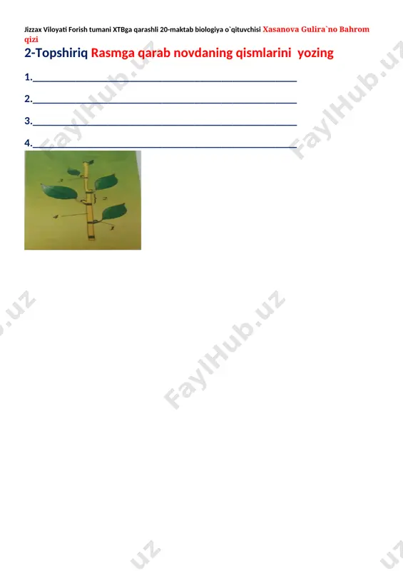 a ko`ra poyaning turi qulupnay o`rmalovchi qovun terak qo`ypechak tok tarvuz qovoq ajriq bodring bug`doy olma go`zpanja sebarga karnaygul 5-topshiriq .jadvalda berilgan mayda va yirik kurtakli o`simliklar raqamlarini mos ravishda yozing № o`simlik nomi № o`simlik nomi 1 terak 6 olma 2 tut 7 gilos 3 qayrag`och 8 soxta kashtan 4 chinor 9 tol 5 o`rik 10 nastarin mayda kurtakli o`simliklar yirik kurtakli o`simliklar 4-topshiriq. quyidagi jadvalni to`ldiring(a variant) yog`ochligi qattiq o`simliklar yog`ochligi yumshoq o`simliklar krossvordni yeching 1.poyaning qoplovchi to`qimasi. 2.poyaning lub to`qimasi 3.po`stloq va yog`ochlik o`rtasidagi qavat 4.poyaning yog`ochlik qavati 1 p 2 o 3 y 4 a 5-topshiriq. quyidagi jadvalni to`ldiring(b variant) poya qismlari tuzilishi qaysi to`qima guruhiga mansub qanday vazifani bajaradi po`stloq 1)epiderma (po`st) 2)po`kak lub 1)elaksimon naylar 2)lub tolalari kambiy yog`ochlik 1)yog`ochlik tolalari 2)naylar o`zak 4-topshiriq .rasmga qarab kurtakning qismlarini yozing .qaysi biri vegetative kurtak,qaysi biri generativ kurtak ekanligini aninqlang. 1_____________________ 2_____________________ 3_____________________ 4____________________[image: c:\users\user\desktop\botanika\img_20200212_142915.jpg] 1-topshiriq:poyaning …