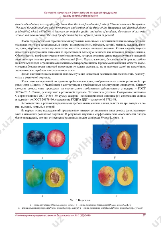 snost produktsii, kulturu obslujivaniya pokupateley, no i prodlit sroki godnosti tovarnix partiy svejix sliv v tselom. quality and safety of fresh fruits e. a. cherniazova, undergraduate student a. a. efremova, undergraduate student n. l. naumova, doctor of technical sciences, assistant professor south ural state university (national research university) key words: fresh plums, quality, composition, safety. abstract. plum fruits have harmonious taste qualities and valuable biochemical composition. plum is characterized by a low content of vitamin c, but in combination with high concentrations of phenolic com- pounds, is of great value as a source of antioxidants. the problem of improving the quality and ensuring the safety of food products is not only relevant, but is also one of the most important economic problems at the present stage. the aim of the research was to study the quality and safety of fresh plums sold in retail trade. it has been established that …