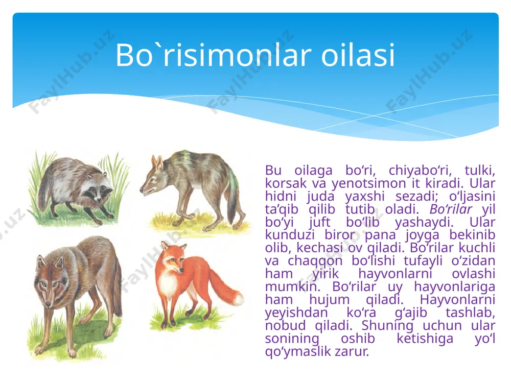 oyoqlari kalta, tanasi ingichka bo‘lib, yoriqlarga kirishga moslashgan. o‘zbekistonda suvsarlardan bo‘rsiq, suvsar, qunduz, olaqo‘zan, latcha va norka uchraydi. bo‘rsiq (qashqaldoq) tog‘ o‘rmonlari, to‘qay va dashtlarda yashaydi. inlarini jarliklar va tepaliklar yonbag‘riga quradi; kechasi ovga chiqadi. turli hasharotlar, kemiruvchilar, shuningdek, to‘kilgan mevalar va o‘simliklarning yer osti tuganaklari bilan oziqlanadi. test topshiriqlari rasmdagi hayvonning qaysi sezgisi kuchli rivojlangan? eshitish hid bilish bo`rsiq yana qanday nomlanadi? norka vidra ko`rish qashqaldoq tyin tulki ushbu kemiruvchilar bilan qaysi yirtqich oziqlanmaydi? qo`ng`ir ayiq ushbu hayvon qayerda yashaydi? uzoq sharq amerika ushbu hayvonning og`irligi qanchagacha yetishi mumkin? 500 kg 700 kg avstraliya 800 kg jag`lari bilan tirnoqlari yordamida ushbu hayvon o`ljasini qanday tutadi? tishlari orqali image2.png image3.png image4.png image5.jpeg image6.jpeg image7.jpeg image8.jpeg image9.jpeg image10.png