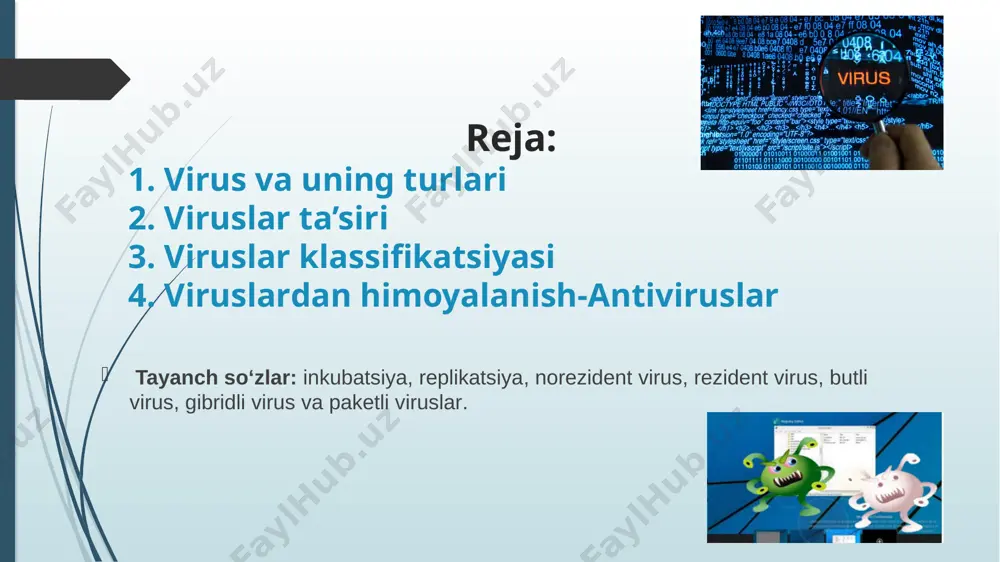 ernetda e’lon qilish viruslar klassifikatsiyasi viruslarni shartli ravishda quyidagi guruhlarga bo‘lish mumkin: fayl viruslari [com, exe va dll ni zararlaydi]; boot-viruslar [disketlarni boshlang‘ich yuklovchi sektorlari (yoki mbr – master boot record) qattiq diskning yuklovchi sohasini zararlaydi]; – makroviruslar; tarmoq viruslari. fayl viruslari kompyuterlarda eng ko‘p tarqalgan viruslardir. ular barcha viruslarning taxminan 80 % ini tashkil etadi. bu toifa kompyuter viruslari juda chidamli bo‘lib, o‘z vaqtida ehtiyot chorasi ko‘rilmasa, haqiqiy epidemiyaga aylanadi. masalan, rce­1813 yoki ierusalem (quddus), black friday (qora juma). makroviruslar – ma’lumotlarni qayta ishlovchi turli tizimlarga (matn muharrirlari, elektron jadvallar) o‘rnatilgan makrotil imkoniyatlaridan foydalanadi. ular, ayniqsa, microsoft word va excel dasturlarida keng tarqalgan. bunday viruslar zararlangan fayllar ishga tushganda faollashadi va shu turdagi fayllar ishga tushsa, ularni ham zararlantiradi. ular nafaqat alohida kompyuterlarni, balki ushbu dasturlar o‘rnatilgan tarmoqdagi kompyuterlarni ham zararlantiradi. tarmoqqa zarar keltiruvchi viruslar replikatorlar deb atalib, tarmoqdagi barcha yoki ba’zi abonentlarni zararlaydi. tarmoq viruslari o‘zini keng tarqatishi …