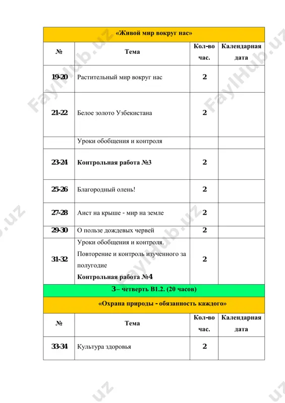 aya rabota №8 2