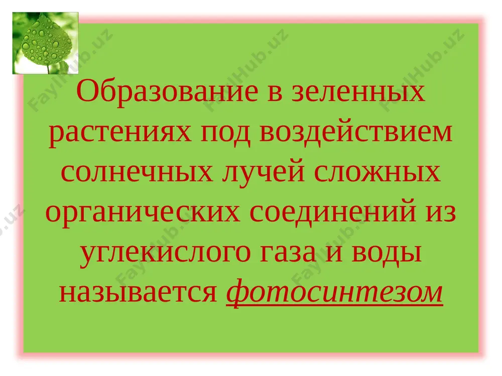 fotosintez - Page 2