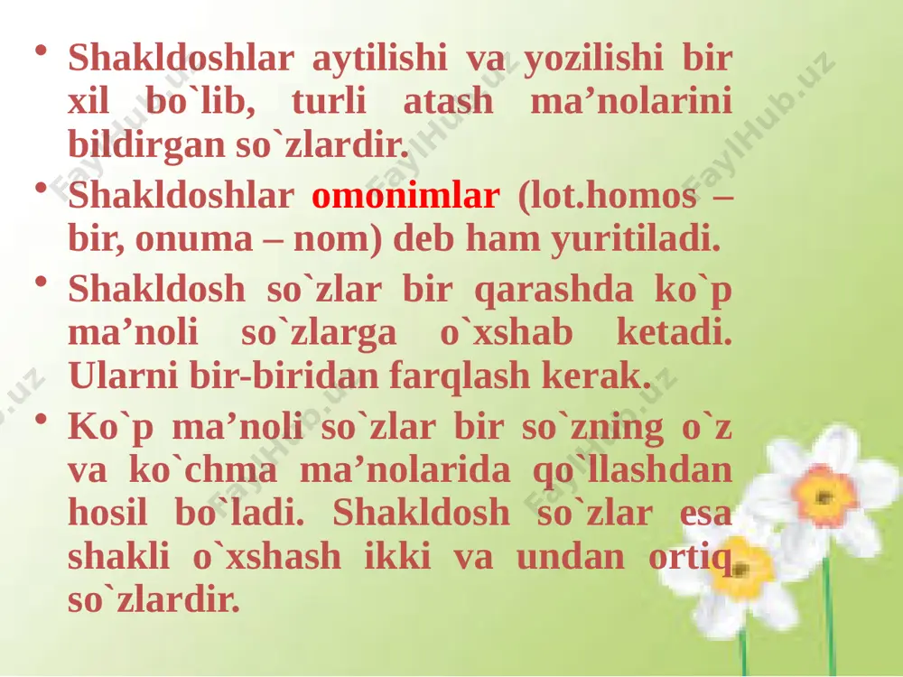 salimova n. online dars 5-sinf ona tili shakldosh so`zlar - Page 2
