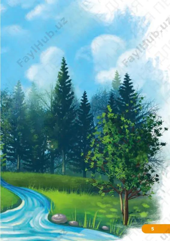 estestvoznanie 3.2 - Page 2