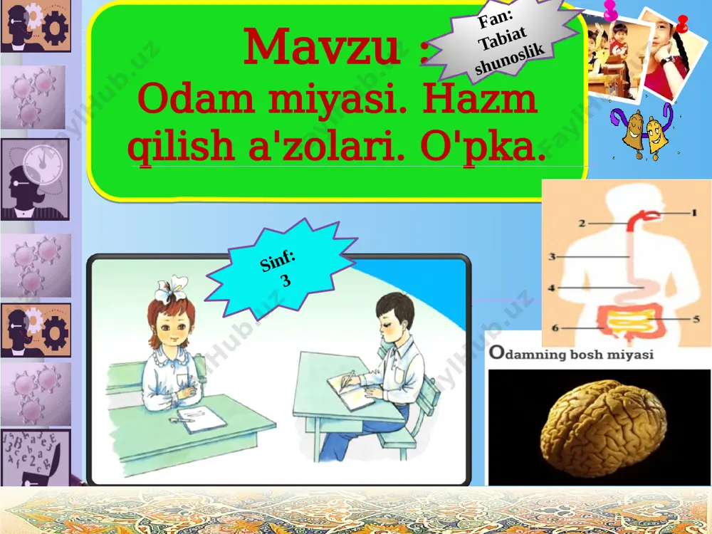 bosh miya, orqa miya va nerv tolalaridan iborat.bosh miya kalla suyagi ichida, orqa miya esa odam gavdasi orqasidagi umurtqa pog'onasi ichida joylashgan odam tanasidagi a'zolar tinimsizishlaydi. bunda ular ko'p quvvat sarflaydi. sarflangan quvvatning o'rnini to'ldirib turish uchun oziq moddalar kerak bo'ladi. tanadagi a'zolarning o'sishi uchun ham oziq moddalar talab etiladi.tanamizdagi a'zolar uchun zarur bo'lgan oziq moddalar biz iste'mol qilayotgan oziq-ovqatlardan o'tadi. bir kunda to'rt mahal, har doim ma'lum bir vaqtda ovqatlanish zarur: www.themegallery.com www.themegallery.com ustozlar maktabi. ustoz-shogird an'anasi www.themegallery.com ovqatlanish tartibi ertalab maktabga ketishdan oldin — nonushta; maktabdan qaytgandan keyin — tushlik; oradan 3 — 4 soat o'tgach — choshgohlik; kechqurun — kechki ovqat. www.themegallery.com ustozlar maktabi. ustoz-shogird an'anasi www.themegallery.com ustozlar maktabi. ustoz-shogird an'anasi www.themegallery.com ustozlar maktabi. ustoz-shogird an'anasi www.themegallery.com ustozlar maktabi. ustoz-shogird an'anasi www.themegallery.com bosh miya va orqa miyaning vazifasi nimadan iborat? ovqat oshqozonga qanday yetkaziladi? oshqozonning vazifasi nimadan iborat? mustahkamlash nerv sistemasi nimalardan tashkil topgan? bosh miya va …
