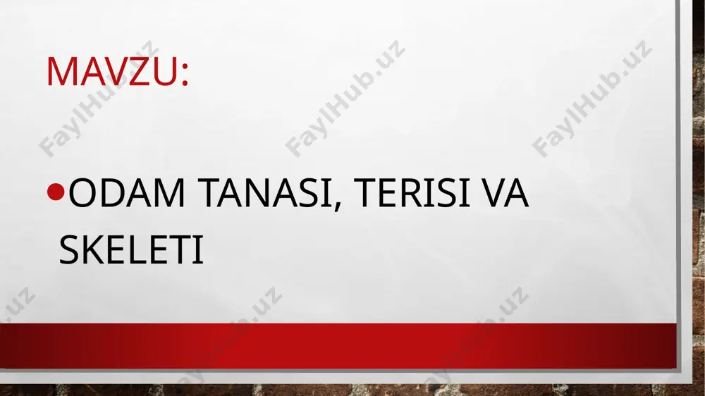 qolgan bolalarda esa suyak o’sishida muammolar mavjud gavda buzilishi uyga vazifa tanamizdagi skelet qismlarini ushlab ko’ring, ularning har birini nomini ayting va daftaringizga yozing mavzuni o’qing va mavzu yakunida berilgan savollarga yozma javob bering e’tiboringiz uchun raxmat image3.jpg image4.jpeg image5.jpeg image6.jpeg image7.jpeg image8.jpeg image9.jpeg image10.jpeg image11.jpeg image12.jpeg image13.jpeg image14.jpeg image15.jpeg image16.jpeg image17.jpeg image18.jpeg image19.jpeg image20.jpeg image21.jpeg image22.jpeg image23.jpeg image24.jpeg