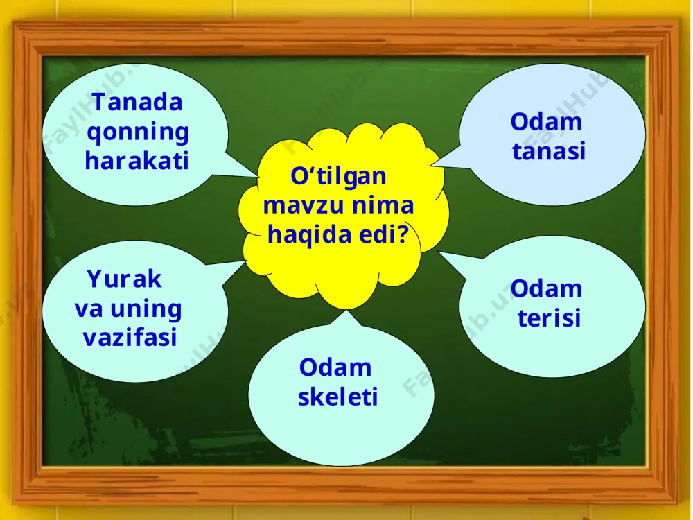 3 sinf tabiatshunoslik 5-dars - Page 2