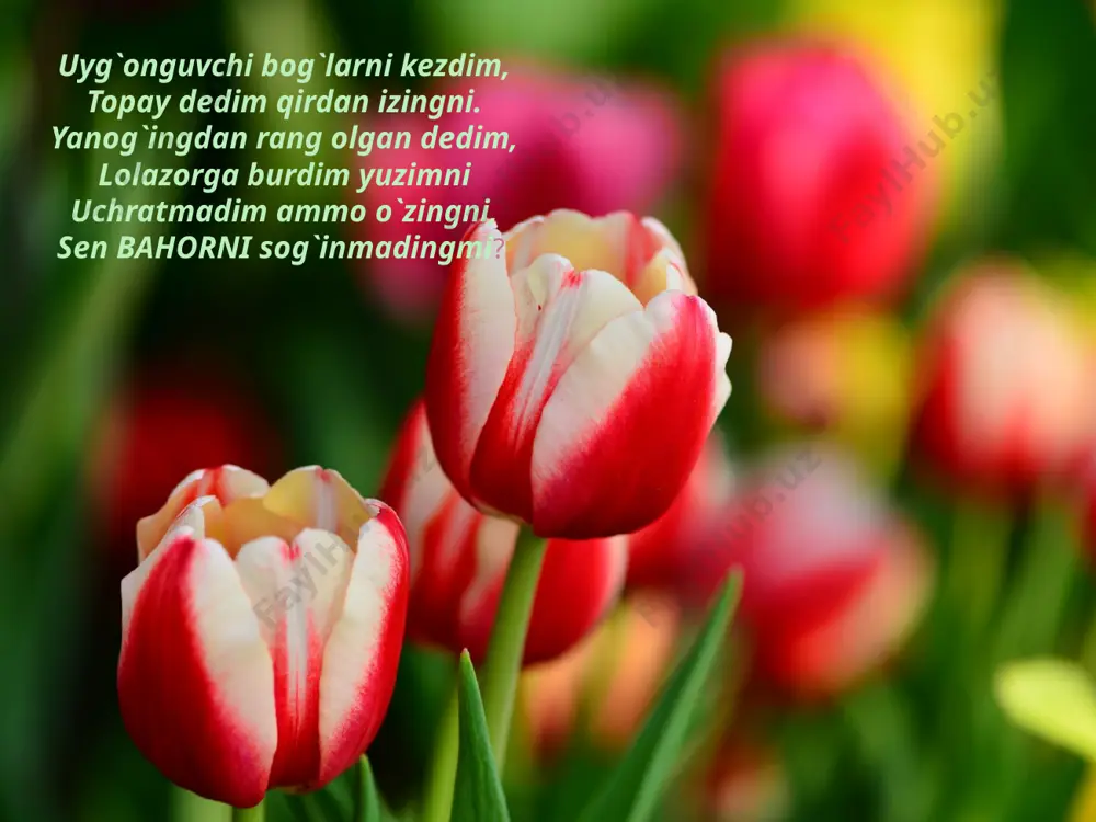 yod olganmiz. qayerga ketyapsiz? uyga vazifani bermadik hali! demak, uyga vazifa she`rni yod olish! e`tiboringiz uchun tashakkur! image1.jpeg image2.jpeg image3.jpeg image4.jpeg image5.jpeg image6.jpeg image7.jpeg image8.png image9.jpeg media1.m4a image10.png image11.jpeg media2.m4a image12.png image13.png media3.m4a image14.png media4.m4a image15.jpeg image16.jpeg image17.png image18.png image19.jpeg image20.jpeg image21.jpeg image22.jpeg image23.png image24.gif image25.gif image26.jpeg