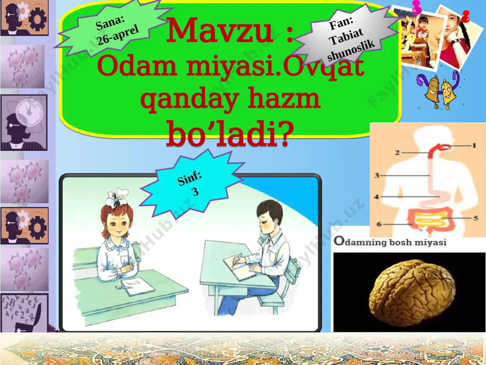 hkil topgan? www.themegallery.com tana a'zolarining xatti-harakatini, odamning xulq-atvorini nerv sistemasi boshqaradi. nerv sistemasi bosh miya, orqa miya va nerv tolalaridan iborat.bosh miya kalla suyagi ichida, orqa miya esa odam gavdasi orqasidagi umurtqa pog'onasi ichida joylashgan odam tanasidagi a'zolar tinimsizishlaydi. bunda ular ko'p quvvat sarflaydi. sarflangan quvvatning o'rnini to'ldirib turish uchun oziq moddalar kerak bo'ladi. tanadagi a'zolarning o'sishi uchun ham oziq moddalar talab etiladi.tanamizdagi a'zolar uchun zarur bo'lgan oziq moddalar biz iste'mol qilayotgan oziq-ovqatlardan o'tadi. bir kunda to'rt mahal, har doim ma'lum bir vaqtda ovqatlanish zarur: www.themegallery.com ’’mo’jaz uycha’’ www.themegallery.com www.themegallery.com ustozlar maktabi. ustoz-shogird an'anasi ustozlar maktabi. ustoz-shogird an'anasi www.themegallery.com ovqatlanish tartibi ertalab maktabga ketishdan oldin — nonushta; maktabdan qaytgandan keyin — tushlik; oradan 3 — 4 soat o'tgach — choshgohlik; kechqurun — kechki ovqat. www.themegallery.com bosh miya va orqa miyaning vazifasi nimadan iborat? ovqat oshqozonga qanday yetkaziladi? oshqozonning vazifasi nimadan iborat? mustahkamlash nerv sistemasi nimalardan tashkil topgan? bosh miya va …