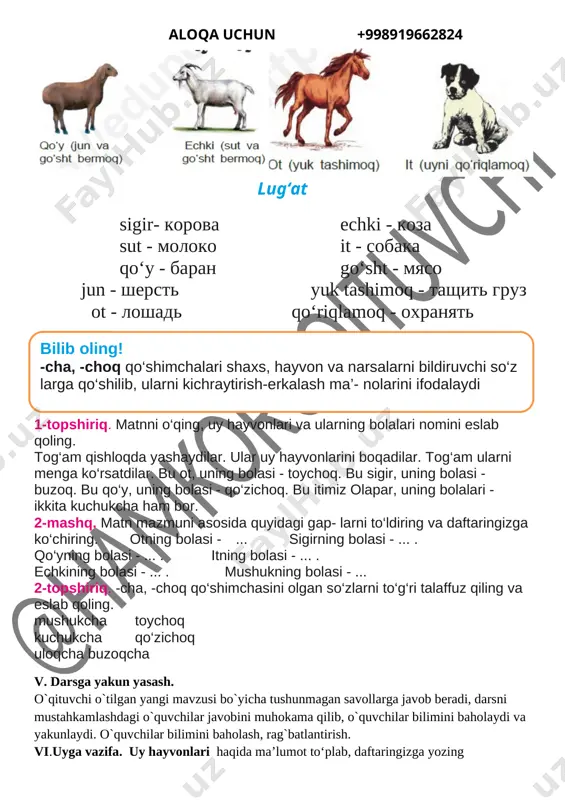 u ot, uning bolasi - toychoq. bu sigir, uning bolasi - buzoq. bu qo‘y, uning bolasi - qo‘zichoq. bu itimiz olapar, uning bolalari - ikkita kuchukcha ham bor. 2-mashq. matn mazmuni asosida quyidagi gap- larni to‘ldiring va daftaringizga ko‘chiring. otning bolasi - ... sigirning bolasi - ... . qo‘yning bolasi - ... . itning bolasi - ... . echkining bolasi - ... . mushukning bolasi - ... 2-topshiriq. -cha, -choq qo‘shimchasini olgan so‘zlarni to‘g‘ri talaffuz qiling va eslab qoling. mushukcha toychoq kuchukcha qo‘zichoq uloqcha buzoqcha v. darsga yakun yasash. o`qituvchi o`tilgan yangi mavzusi bo`yicha tushunmagan savollarga javob beradi, darsni mustahkamlashdagi o`quvchilar javobini muhokama qilib, o`quvchilar bilimini baholaydi va yakunlaydi. o`quvchilar bilimini baholash, rag`batlantirish. vi.uyga vazifa. uy hayvonlari haqida ma’lumot to‘plab, daftaringizga yozing sana:___“__________”20__yil “tasdiqlayman” o’tibdo’______ mavzu: uy hayvonlari va parrandalar darsning maqsadi: ta’limiy maqsadi: uy hayvonlari va parrandalar haqida ma’lumot berish. savol- javobga o`rgatish tarbiyaviy maqsadi: o`quvchilarda vatanimizga mehr uyg`otish. …