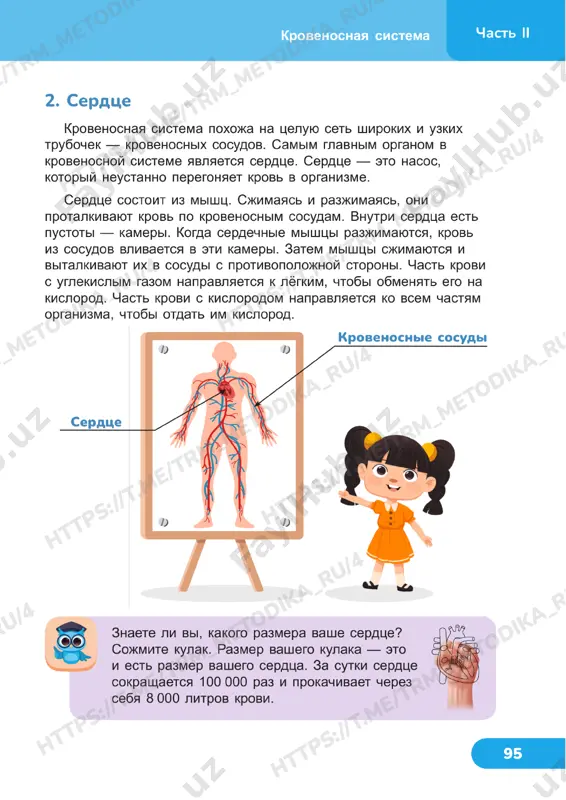 estestvoznanie 4 klass uroki 23_24 - Page 2