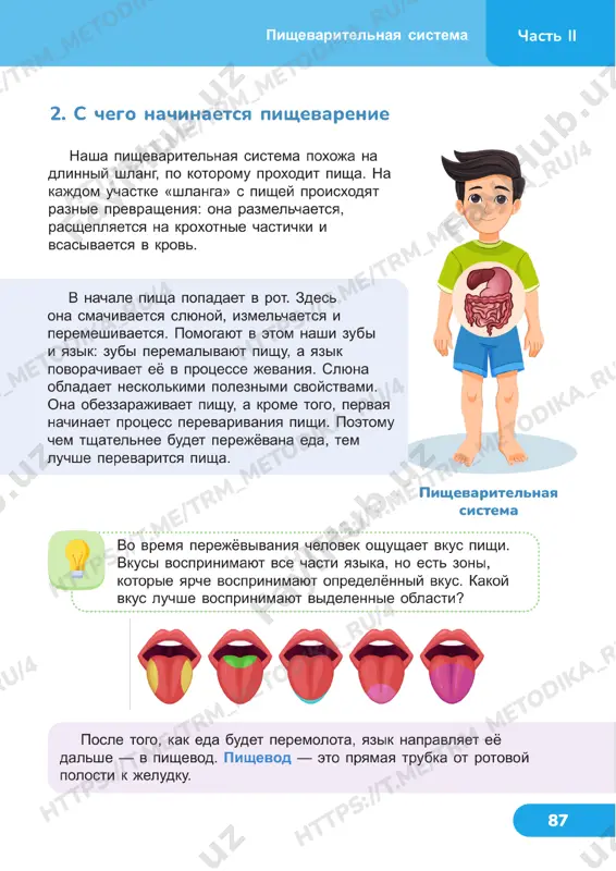 estestvoznanie 4 klass uroki 21_22 - Page 2