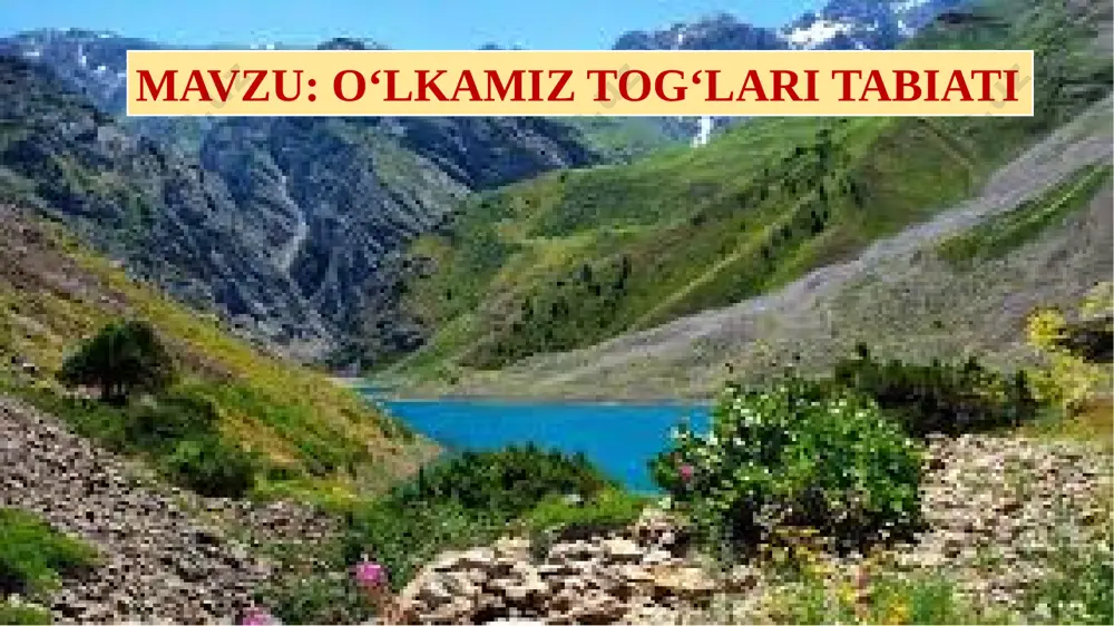 uchraydigan yovvoyi hayvonlar mustaqil topshiriq 1. o‘lkamizdagi daryolar qanday hosil bo‘ladi? 2. o‘zbekiston hududidagi tog‘ yonbag‘irlarida qanday o‘simliklar o‘sadi? 3. tog‘larning 1 500 m dan baland bo‘lgan qismida qanday o‘simliklar uchraydi? 4. tog‘larda qanday ilonlar va qushlar uchraydi? 5. tog‘larda yashaydigan hayvonlardan yana qaysilarini bilasiz? yozuvsiz xaritada o‘lkamiz hududidagi tog‘lar egallagan joylarni bo‘yang. image1.png image2.jpeg image3.png image4.gif image9.png image10.png image5.png image6.png image7.png image8.png image11.gif image12.gif image13.jpeg image14.jpeg image15.jpeg image16.jpeg image17.jpeg image18.jpeg image23.png image19.png image20.png image21.png image22.png image24.png