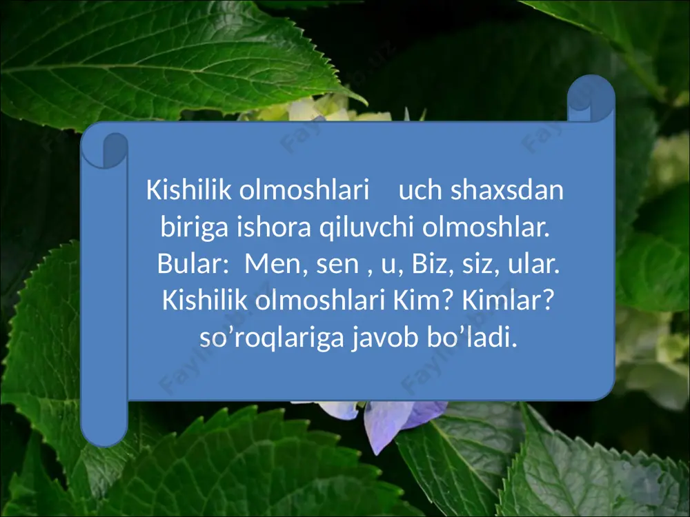 kishilik olmoshlari (aim.uz) - Page 2
