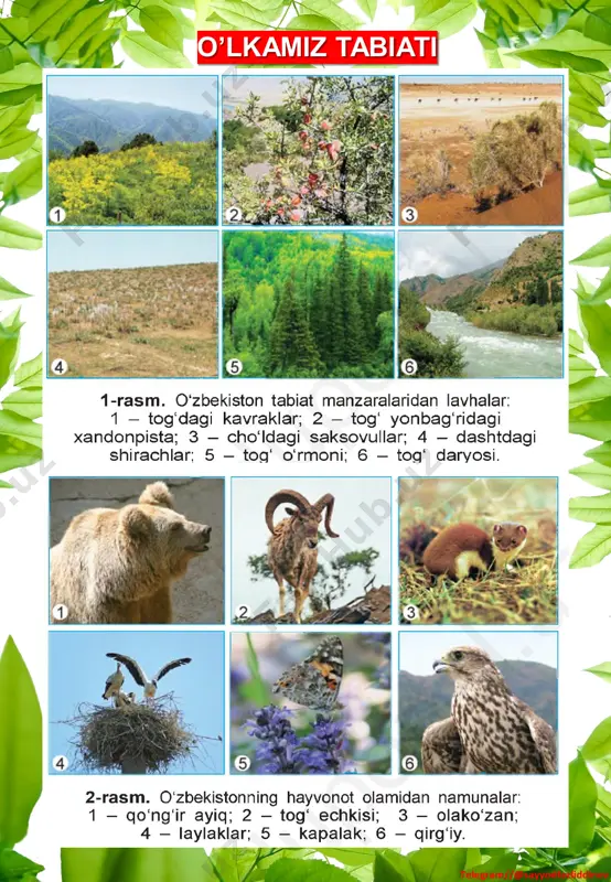 4_sinf_tabiatshunoslik_fanidan_ko'rgazmalar_yillik_2022_2023_o'quv - Page 2