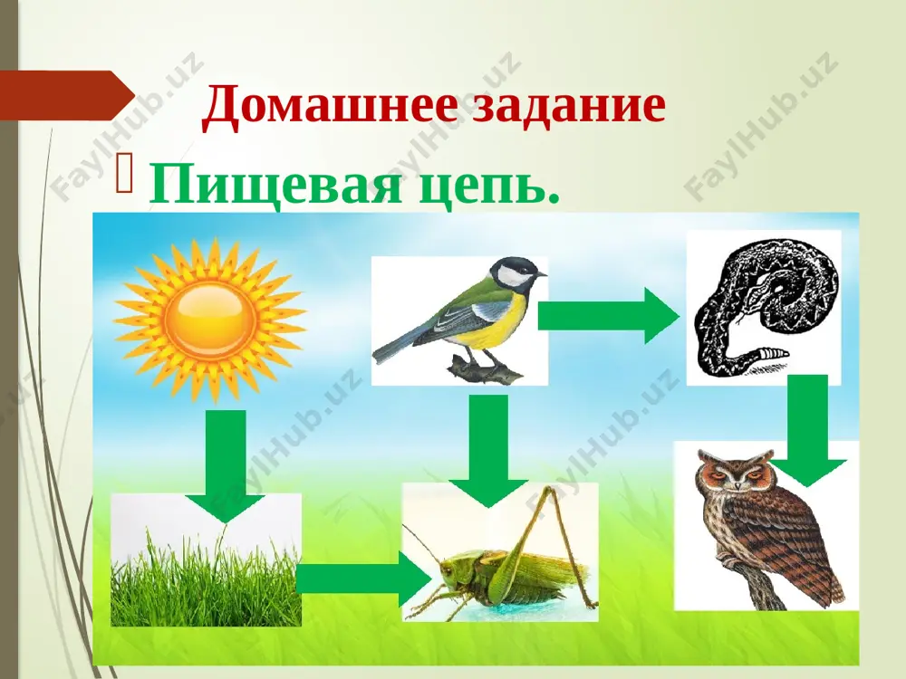 prezentatsiya_po_estestvennim_naukam_vo_2_klasse_na - Page 2