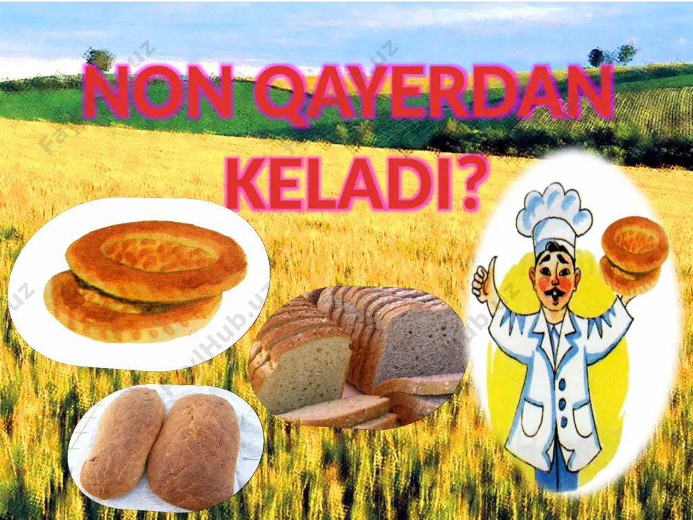 yerdan keladi, bular qaydan biladi? qurit, qopga solib qo'y, nobud qilma, olib qo'y. bolalar ko'chamizda qish, bahor yoz-u kuzda non yeb yurishar, gohi tushar yerga ushog'i. 3- guruh: o'yga tolib qolar jim to'qsonga kirgan buvim ko'ziga yosh oladi: — non qayerdan keladi, bular qaydan biladi? bobomlar qotgan nonni boqsam, qiynalib joni hovonchalarda tuyar, ushog'in o'pib qo'yar. lug'at ustida ishlash va ohangdosh so'zlarni topish guruhlarga vazifa qilib beriladi. ohangdosh so'zlar: qo'yishar — yeyishar yo'l olar — non qolar solib qo'y— olib qo'y keladi — biladi dam olish daqiqasi. musiqa faniga bog'langan holda o'tkazlladi. «non aziz — eng halol» qo'shig'i o'quvchilar bilan rubob jo'rligida ijro etiladi. (po'lat mo'min she'ri, shermat yormatov musiqasi). «amaliy ish» metodi. bu metod mehnat faniga bog'langan holda o'tkaziladi. o'qituvchi o'quvchilarga oldindan tayyorlab kelingan xamir bo'laklaridan beradi. va bu xamirdan non yasash mumkinligini aytib, uning tarkibini tushuntiradi. iv. yangi mavzuni mustahkamlash (10 daqiqa). ...ning uvo.. non non.... ....g`i ham …