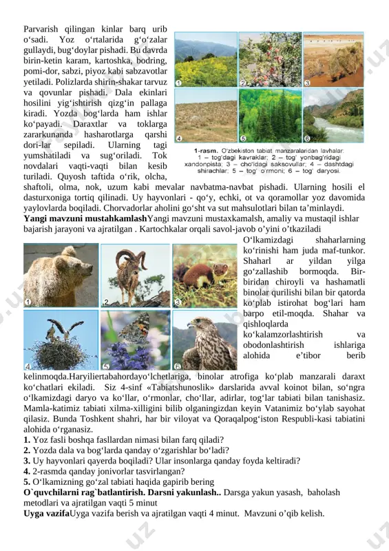 n,tunlar esa qisqa bo‘ladi. quyosh nurlari o‘lkamiz hududiga tikroq tushadi. shuning uchun kunlar issiq, osmon bulutsiz bo‘ladi. yoz bolalarning eng sevimli faslidir. yozda bolalar tengdoshlari bilan o‘ynaydilar, cho‘miladilar, tabiat ne’matlaridan bahramand bo‘ladilar. yozda dala va bog‘larda ishlar qizg‘in tus oladi. ekinlar tagi yumshatiladi, o‘g‘it solinadi, sug‘oriladi, zararkunanda hasharotlardan tozalanadi. hasharot-larni qirishda jiblajibon, so‘fito‘rg‘ay, chug‘urchiq, qaldirg‘och, chumchuq, chittak kab i qushlar katta yordam beradi. parvarish qilingan kinlar barq urib o‘sadi. yoz o‘rtalarida g‘o‘zalar gullaydi, bug‘doylar pishadi. bu davrda birin-ketin karam, kartoshka, bodring, pomi-dor, sabzi, piyoz kabi sabzavotlar yetiladi. polizlarda shirin-shakar tarvuz va qovunlar pishadi. dala ekinlari [image: ]hosilini yig‘ishtirish qizg‘in pallaga kiradi. yozda bog‘larda ham ishlar ko‘payadi. daraxtlar va toklarga zararkunanda hasharotlarga qarshi dori-lar sepiladi. ularning tagi yumshatiladi va sug‘oriladi. tok novdalari vaqti-vaqti bilan kesib turiladi. quyosh taftida o‘rik, olcha, shaftoli, olma, nok, uzum kabi mevalar navbatma-navbat pishadi. ularning hosili el dasturxoniga tortiq qilinadi. uy hayvonlari - qo‘y, echki, ot va …