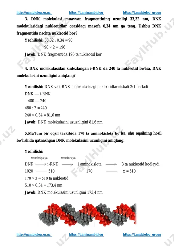 an fragmentining uzunligi 33,32 nm, dnk molekulasidagi nukleotidlar orasidagi masofa 0,34 nm ga teng. ushbu dnk fragmentida nechta nukleotid bor? yechilishi: 33,32 : 0,34 = 98 98 × 2 = 196 javob: dnk fragmentida 196 ta nukleotid bor 4. dnk molekulasidan sintezlangan i-rnk da 240 ta nukleotid bo‘lsa, dnk molekulasini uzunligini aniqlang? yechilishi: dnk va i-rnk molekulasidagi nukleotidlar nisbati 2:1 bo‘ladi dnk — i-rnk 480 — 240 480 : 2 = 240 240 × 0,34 = 81,6 nm javob: dnk molekulasini uzuznligini 81,6 nm 5.ma’lum bir oqsil tarkibida 170 ta aminokislota bo‘lsa, shu oqsilning hosil bo‘lishida qatnashgan dnk molekulasini uzunligini aniqlang. yechilishi: transkripsiya translatsiya dnk i-rnk 1 aminokislota 3 ta nukleotid kodlaydi 1020 510 170 x = 510 170 × 3 = 510 ta nukleotid 510 × 0,34 = 173,4 nm javob: dnk molekulasini uzunligini 173,4 nm http://nambiolog.zn.uz/ https://t.me/nambiolog https://t.me/biolog_group http://nambiolog.zn.uz/ https://t.me/nambiolog https://t.me/biolog_group http://nambiolog.zn.uz https://t.me/nambiolog https://t.me/biolog_group http://nambiolog.zn.uz https://t.me/nambiolog https://t.me/biolog_group dnk …