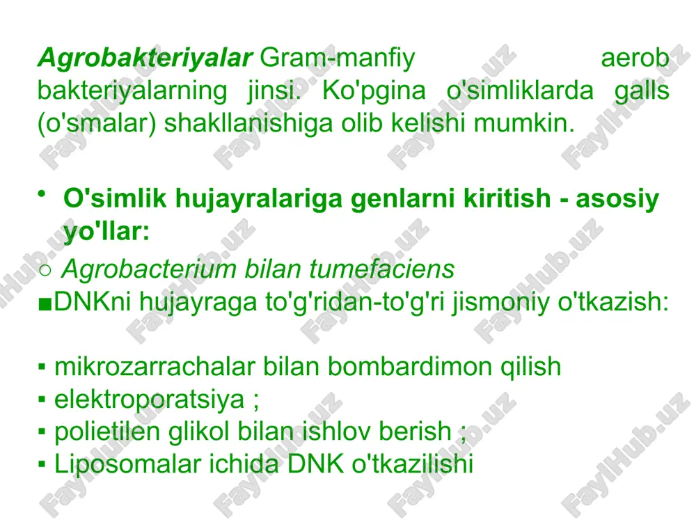 o'simliklar genetik muhandisligi - Page 3