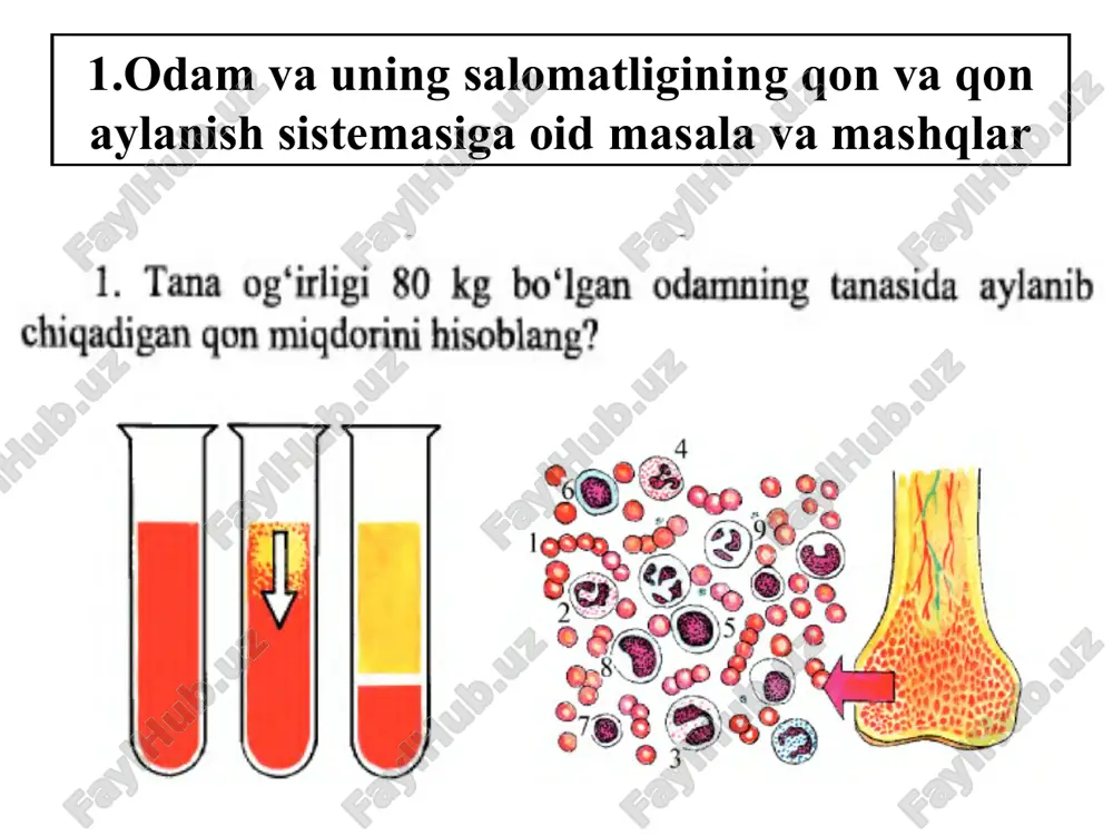 biologiyadan masala va mashqlar yechish - Page 3