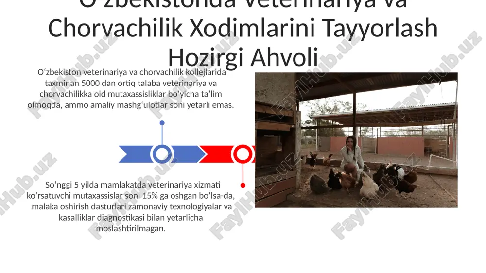 veterinariya va chorvachilik soxasida kadirlash tayyorlash - Page 3