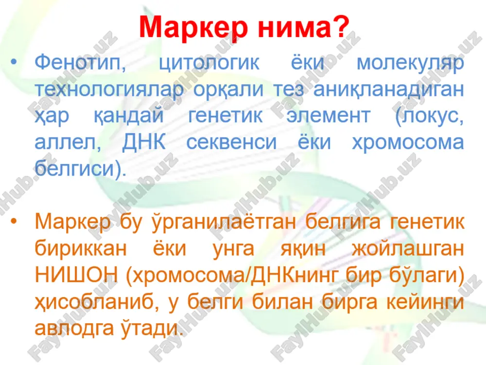 restriktazalar nabori (odatda, ikki 4 va 6 nukleotidlar ketma-ketligini taniydigan restriktazalar juftligi) bilan ishlanadi. hosil bo’lgan fragmentlarga adapterlar ulanadi. so’ngra adapter praymerlari yordamida amplifikatsiyalanadi. undan keyin esa 3’ uchida restriksiya saytiga tegishli bo’lgan uch erkin nukleotid tutuvchi adapter ketma-ketligiga mos praymerlar yordamida selektiv amplifikatsiya o’tkaziladi. bu usul yordamida nukleotid ketma-ketligini bilmasdan turib ham katta miqdordagi snplarni tahlil qilish mumkin. mikrosatellitlar yoki ssr (ssr – simple sequence repeat - oddiy takrorlanuvchi ketma-ketliklar ssr markerlari o’zining yuqori polimorfliligi bilan boshqa markerlardan ajralib turadi. mikrosatellitlar hattoki yaqin qarindosh bo’lgan individlar lokuslarida ham yuqori polimorfizm namoyon etadi. mikrosatellit ketma-ketliklari odatda dinukleotid (ac)n, (ag)n, (at)n; trinukleotid (cgg)n, (gcc)n, (tct)n, (ttg)n; tetranukleotid (tatg)n va h-o bo’lib, “n” – mikrosatellit lokuslar ichidagi ketma-ketlikliklari takrorlarining miqdorini bildiradi. o’simliklarda mikrosatellit (at)n, hayvonlarda esa (ac)n takrorlar eng ko’p uchraydi. mikrosatellitlar genlar ekspressiyasi regulyatsiyasi genlar rekombinsiyasi gen konversiyasi jinsni aniqlanishida ishtirok etadi. mikrosatellitlar genetik markerlash populyatsion tadqiqotlarda genom daktiloskopiyasi usulidan foydalanib …