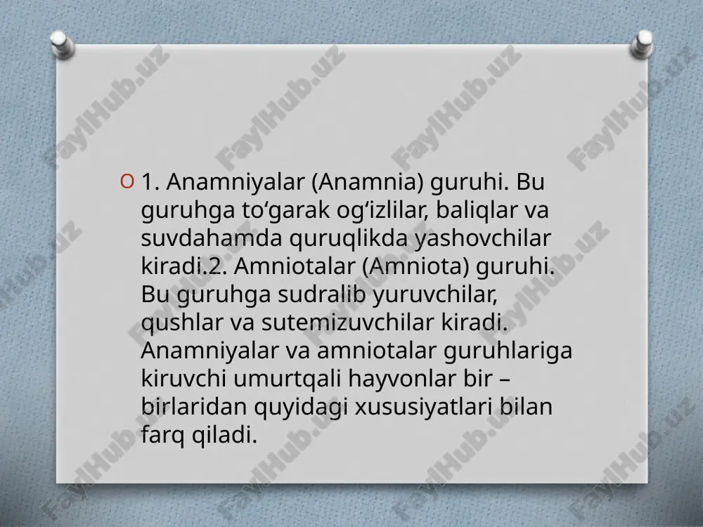 ning embrioni kichkina bo‘shliqda bo`lganligi uchun anamniyalar guruhiga kiruvchi umurtqali hayvonlar embrioni singari nafas ololmaydi va parchalanish mahsulotlarini ularga o'xshab tashqi muhit- ga chiqarib tashlay olmaydi. shuning uchun ham amniotalar guruhiga kiruvchi hayvonlar embrionida amnion pardasi hosil bo`lishi bilan bir vaqtda alohida embrion organi — allantois yoki embrion siydik pufagi (qovug`i) ham hosil bo`ladi. embrion siydik pufagi embrion ichagi keyingi qismining bo`rtib chi- qishidan hosilbo`ladi va kengayib, amnion bilan seroz parda orasidagi bo'shliqdan joy olgan katta pufakka aylanadi. embrion o'zidan ajraladigan parchalanish mahsulotlarini shu allontoisga chiqaradi. allantois embrion uchun nafas olish organi vazifasini bajaradi. chunki allantoisning tashqi devorlari qon tomirlariga boy bo`lib, seroz parda bilan qo'shilgan va allantois kapitlarlari ichidagi qon bilan tashqi muhit o‘rtasida tuxumning mayda-mayda teshikchali qattiq po'sti orqali gaz almashinadi. anamniyalar bilan amniotalar o'rtasidagi farqlar voyaga yetgan shakllarida hamkuzatiladi. anamniyalar guruhiga kiruvchi umurtqali hayvonlarning terisi doimo nam bo`lib turadi, suv va gazni yaxshi o‘tkazadi, ko‘p hujayrali teri …