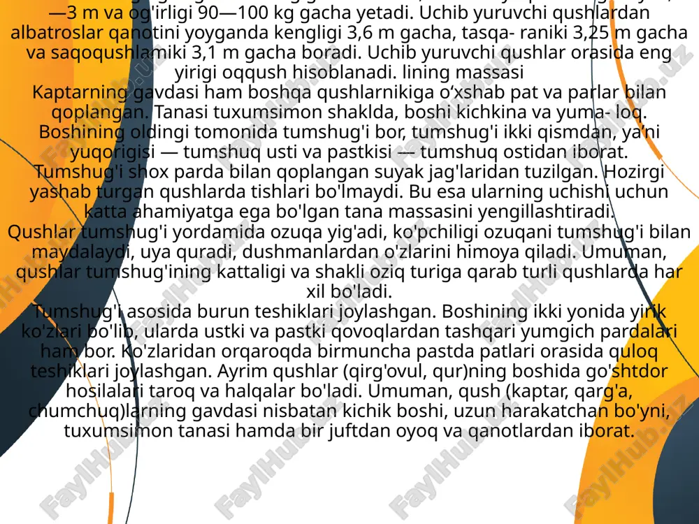 dingi oyoqlarni harakatga keltiruvchi muskullar rivojlanislli tufayli taraqqiy etgan. uchish layoqatini yo'qotgan qushlar (tuyaqushlar)da ko'krak toj suyagi yb'q bo'lib ketgan, biroq ba’zi qushlar (pingvinlar)da ko'krak toj suyagining saqlanib qolganligi ularning suvda suzishga moslashganligi bilan bog'liq. oldingi oyoq (qanot) skeletida tipik bo'limtarning hammasi bbi\ lekin ular uchishga moslashganligi uchun panjalari shaklan o'zgarib, qisman reduksiyalangan. bilaguzuk suyaklarining proksimal elementlari bir-biriga qo'shilib, ikkita kichkina suyakcha hosil qilgan bo'lsa, distal elementlari kaft suyagiga qo'shilib ketgan. kaft suyagi faqat ikkita uzurichoq suyakchadan iborat bo'lib, ularning proksimal hamda distal qismi qo'shilib bitta kaft-bilaguzukni hosil qilgan. qushlarning skeleti bosh skeleti, o'q skeleti, ko'krak qafasi (to'sh, qovurg'a) skeleti, oyoq skeleti va ularning kamarlariga bo'linadi. bosh skeleti. qushlarning tropibazal (bosh miya ko'z kosalari oralig'ida joylashmagan) bosh skeleti hozirgi zamon sudralib yuruvchi- larining bosh skeletidan, asosan o'ziga xos shakli bilan farq qiladi. qushlar miya qutisining oldingi uchi tumshuqqa aylangan bo'lib, ikki yon tomonida katta-katta ko'z kosasi bor. miya qutisining suyaklari …