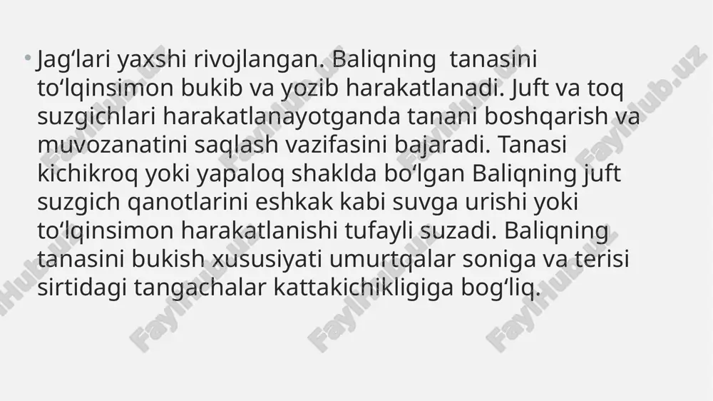 baliqlarning hayot tarzi - Page 3