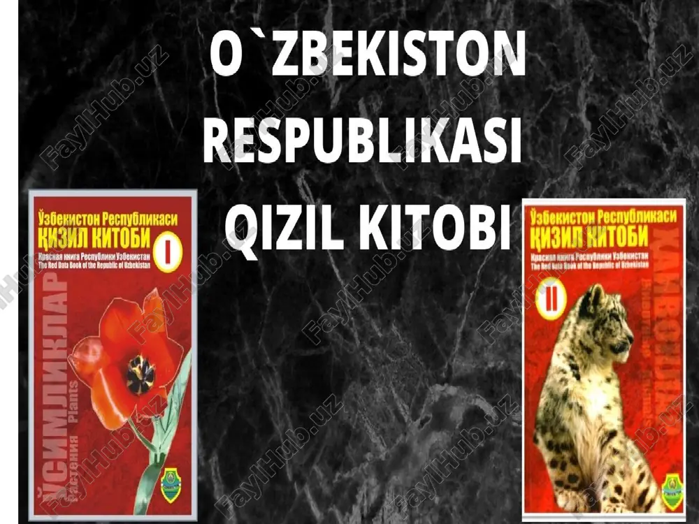 o‘zbekiston suv havzalarida ovlanadigan baliqlar - Page 3