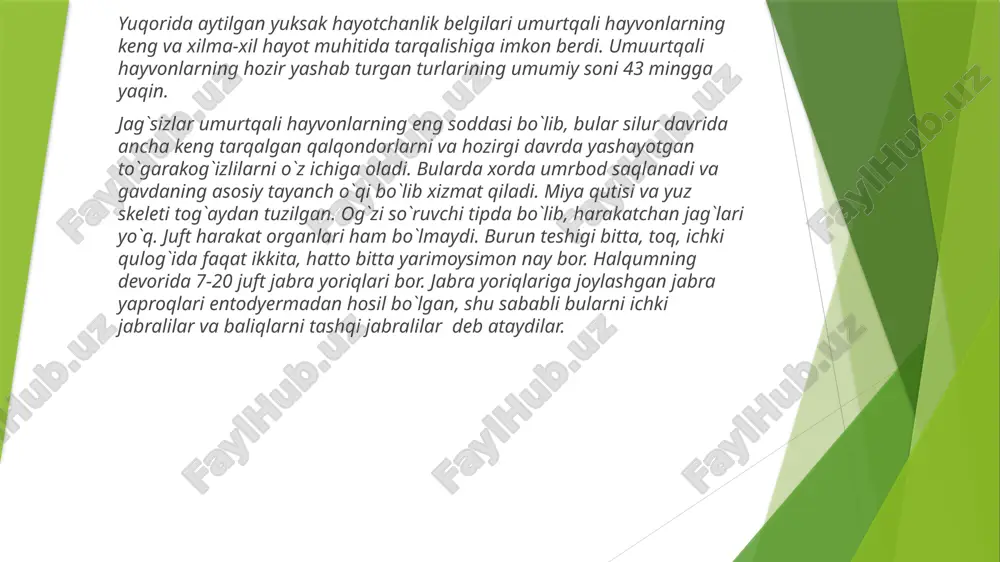 ta'kidlash lozimki, suyak yoki togʻay skelet hosil qilishda xordaning oʻzi ishtirok etmaydi. umurtqali hayvonlarning umurtqa pogʻonasi bir-biri bilan harakatchan tarzda qoʻshilgan bir qancha umurtqalardan iborat boʻladi. jagʻsizlarning (toʻgarak ogʻizlilar sinfi vakillarining) umurtqalari murtak holida boʻladi, shunga koʻra umurtqa pogʻonasi boʻlimlarga boʻlinmaydi. baliqlarning umurtqa pogʻonasi 2 ta boʻlimga – qovurgʻalar oʻrnashgan tana boʻlimiga va qovurgʻasiz dum boʻlimiga boʻlinadi. umurtqalilar, boshskeletlilar (vertebrata yoki craniata) — xordalilar tipiga mansub hayvonlar kenja tipi. turlari soni umurtqasizlarga nisbatan kam; shunga qaramay ular hozirgizamon biosferasida muhim oʻrin tutadi. u. yuksak tuzilgan; oʻzgaruvchan yashash xususiyatiga ega. ular okean suvining turli qatlamlarida, baland togʻlarda, choʻllarda va boshqa joylarda yashaydi. barcha u. evolyutsiyasida ular tuzilishining bitta umumiy reja asosida rivojlanishi kuzatiladi. bunday rivojlanish morfologik, biokimyoviy va fiziologik xususiyatlari, xattixarakatlari hamda psixik faoliyati jihatidan takomillashgan formalar vujudga kelishiga olib kelgan. u.ning qad. ajdodlari (bosh skeletsizlar, pardalilar) dengizda yashagan. u. dastlab chuchuk suvda paydo boʻlib, evolyutsiyaning dastlabki bosqichini oʻtgan. ular evolyutsiyasi …