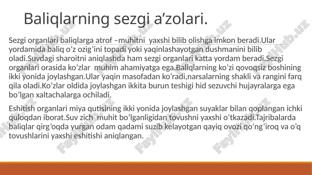 sezmaydi, biroq o‘ljasining hidini tez payqaydi. tuproqda yashaydigan ko‘rsichqonlarning ko‘zi ojiz bo‘ladi. sutemizuvchilar eshitish organining ichki, o‘rta va tashqi bo‘limlari bo‘ladi. tashqi quloq quloq suprasidan va tovush o‘tkazadigan yo‘ldan iborat. quloq suprasi tovushni kuchaytirish va uning yo‘nalishini aniqlab olishga yordam beradi. ko‘rish organlari qushlarnikiga nisbatan kuchsizroq rivojlangan. biroq ularning ko‘zlari narsalar shaklini yaxshi ajratadi. maymunlar va odamlar esa narsalarning rangini qushlarga nisbatan yaxshi ajratadi. sutemizuvchilarning terisi tuyg‘u vazifasini ham bajaradi. hayvonlarning terisida og‘riq, harorat va narsalar holati (suyuq, qattiq, yumshoq)ni sezuvchi tuyg‘u organlari joylashgan. tananing turli joylaridagi uzun va yo‘g‘on qillar ham tuyg‘u organlari hisoblanadi. bunday qillar ko‘pincha burun teshiklari va ko‘zlar yaqinida joylashganligidan «mo‘ylovlar» ham deyiladi. e’tiboringiz uchun rahmat image2.jpg image3.png image4.png /docprops/thumbnail.jpeg