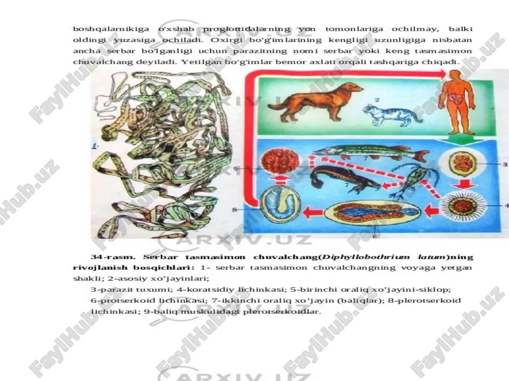 image4.png image5.png image6.png image7.png /docprops/thumbnail.jpeg