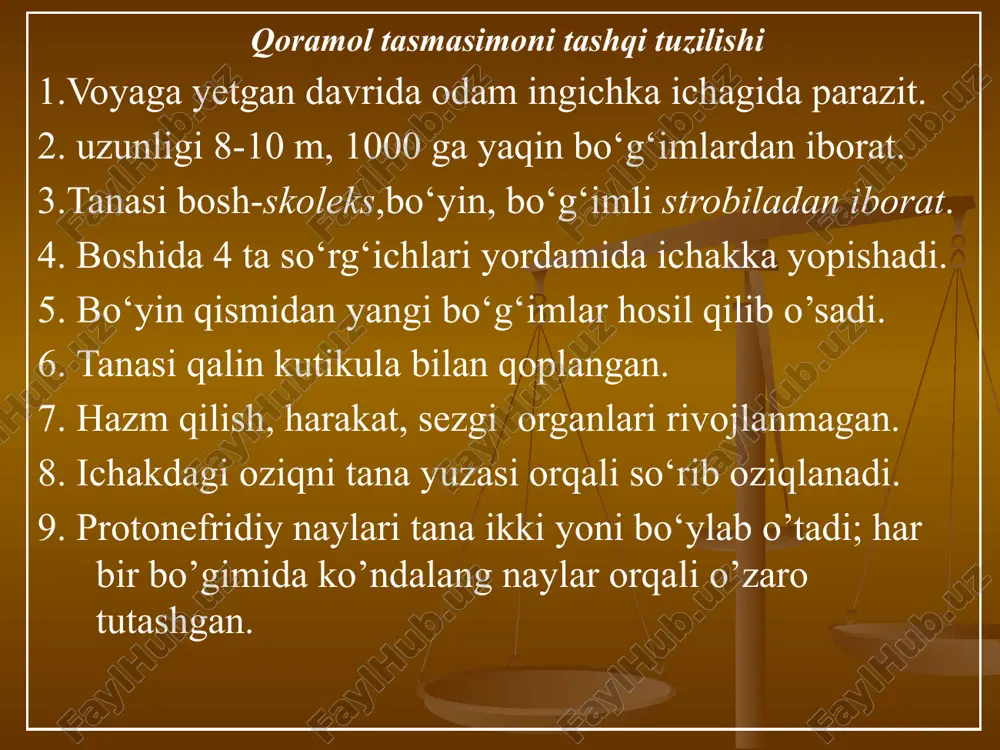 qushlari ichagida parazitlik qiladi. 3. ligulaning tanasi bo’g’imlarga bo’linmagan; 4. lekin jinsiy organlari tanasi bo’ylab ko’p marta takrorlanadi. 5. suvga tushgan tuxumdan kiprikli lichinka- koratsidiy chiqadi. 6.lichinka 1-oraliq xo’jayin diaptamus tana bo’shlig’iga o’tadi 7. baliqlar qisqichbaqasini eb, lichinkani yuqtiradi. 8. qushlar kasal baliqlarni eb, parazitni yuqtiradi. cho’chka tasmasimon chuvalchangi- taenia suim 1.qoramol tasmasimonidan kichikligi (2-m),boshida ilmoqlari bo’lishi, bo’g’imlari 5-6 tadan uzilib chiqishi bilan farq qiladi. 2. odam ichagida ichaguida parazitlik qiladi. 3.odam tasmasimon uchun oraliq xo’jayin ham bo’lishi mumkin. 3. kasal odam qayd qilsa, bo’g’imlari ichakka tushib, tuxum-dan chiqqan lichinkalar ichki organlarda finnaga aylanadi. kalta zanjirsimon chuvalchang- hymenolepis nana 1.odamlar,ayniqsa yosh bolalar ichagida parazit. 2.uzunligi 1-4,5 sm, tanasi 100—200 ta proglottidlardan iborat. 3.onkosferasi odam ichak vorsinkasiga kirib, finnaga aylanadi. 4. odam tuxumlarni qo’li yoki oziq-ovqat orqali yuqtiradi. moneziya - monezia expansa 1.otlar va chorva mollari ichagida xavfli paraziti. 2. finnalari oraliq xo’jayini- sovutli kanalarda rivojlanadi. 3. hayvonlar kanalarni o’t bilan …