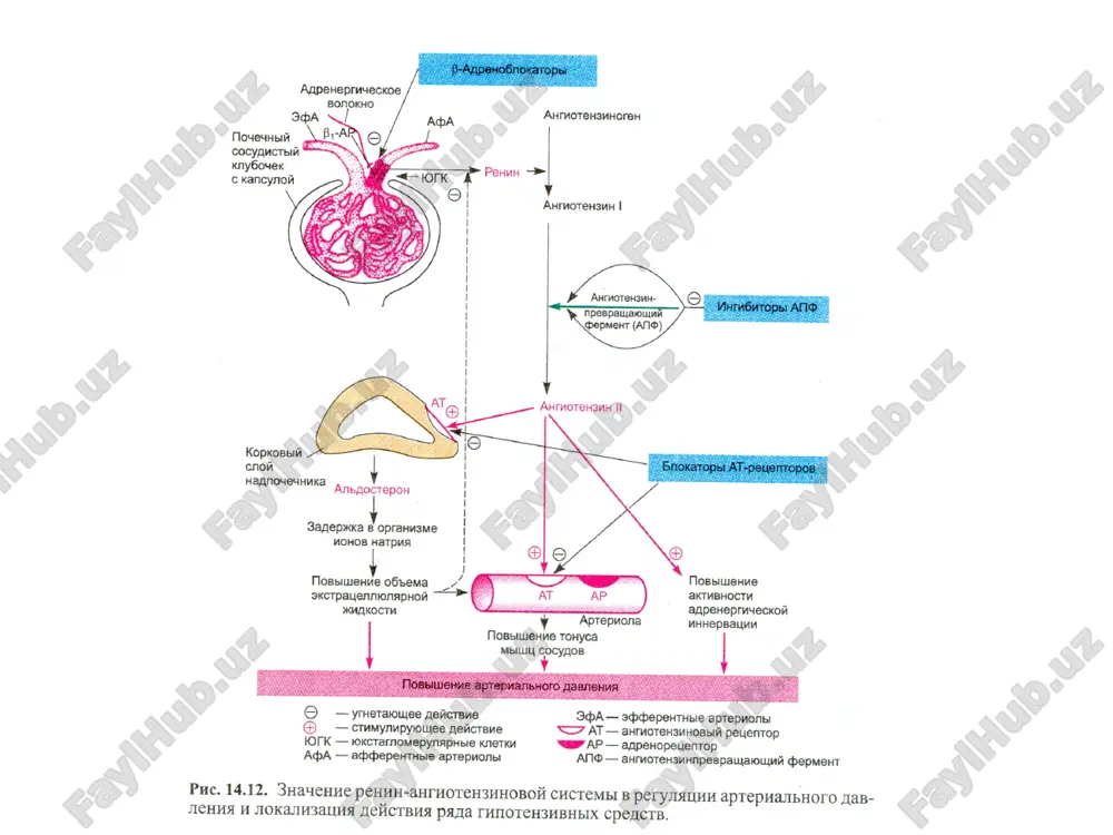 gipotenziv vositalar - Page 3