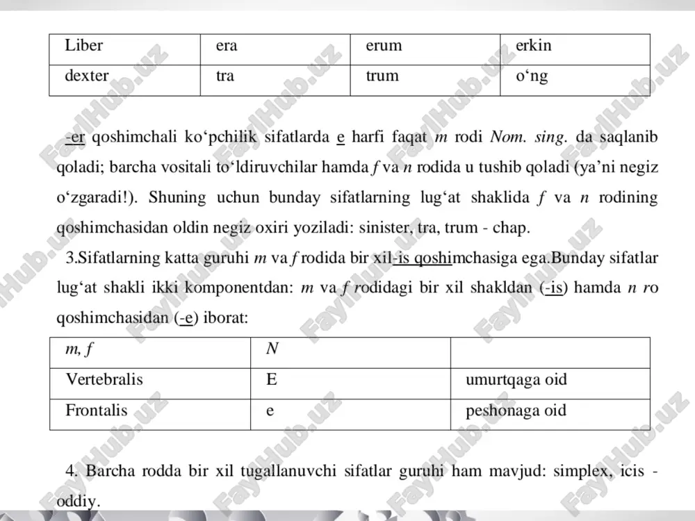 lotin tilidan grammatik kategoriyalar mavzusiga pptx - Page 3