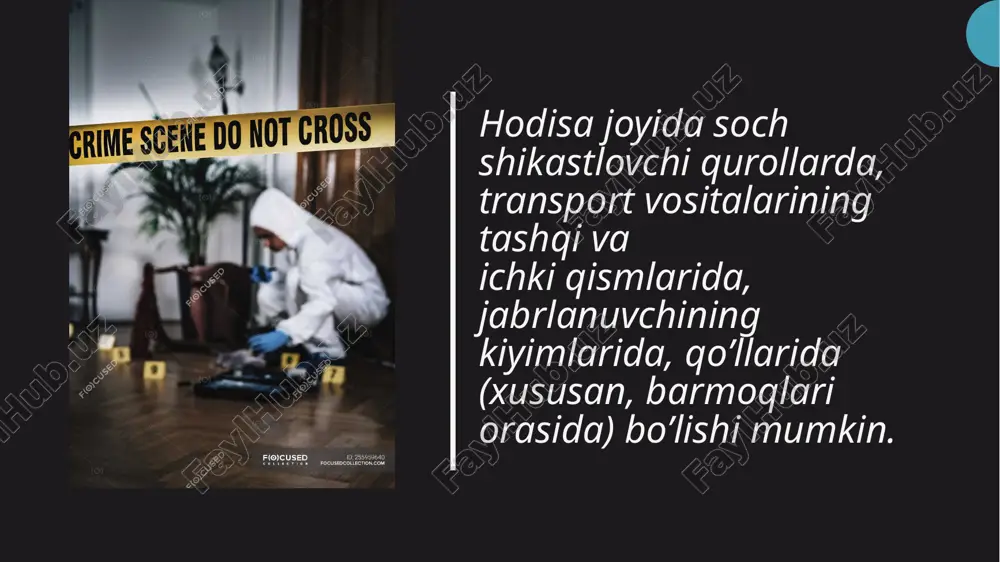 ullar tavsiya etilgan. sochlarning guruhiy mansubligi asosan avo tizimi bo‘yicha absorbsiya-elyusiya reaksiyasi yordamida aniqlanadi. sochning piyozchasi bo‘lganda guruhiy mansublik boshqa izoserologik tizimlar bo‘yicha ham o‘rganilishi mumkin. sochning regional mansubligini (tananing qaysi sohasidan olinganligini) aniqlash. regional mansublikni aniqlashda sochning rangi, uzunligi, qalinligi va ko‘ndalang kesimining shakliga e’tibor beriladi. odatda uzun sochlar bosh, yuz (soqol, mo‘ylov) sohalariga tegishli bo’ladi. boshdagi sochlarning qalinligi 0,10 mmgacha, qosh, kiprik sochlarining qalinligi 0,11-0,12 mm bo’lsa, soqol, mo‘ylov sochlari qalinroq - 0,15-0,17mm bo’ladi. boshdagi sochlarning ko‘ndalang kesimi dumaloq, oval shaklida, qo’ltiq osti, qov sohasidagi sochlar uzunchoq oval, loviyasimon shaklda bo’lsa, soqol, mo‘ylov sochlarining ko‘ndalang kesimi uchburchak, to‘rtburchak, ko‘pburchak ko‘rinishida bo’ladi. qo’ltiq osti, qov sohasidagi sochlar terlash natijasida mallarang tus oladi va ularda turli bakteriyalar, zamburug’lar aniqlanishi mumkin. 15 15 16 odam soch tolasining ko’ndalang kesimlari: boshning soch tolasi; mo’ylov soch tolasi; qov soch tolasi. soch o‘zi tushganmi yoki yulinganmi (qirqib olinganmi)? yulib olingan sochning ildiz qismida odatda …